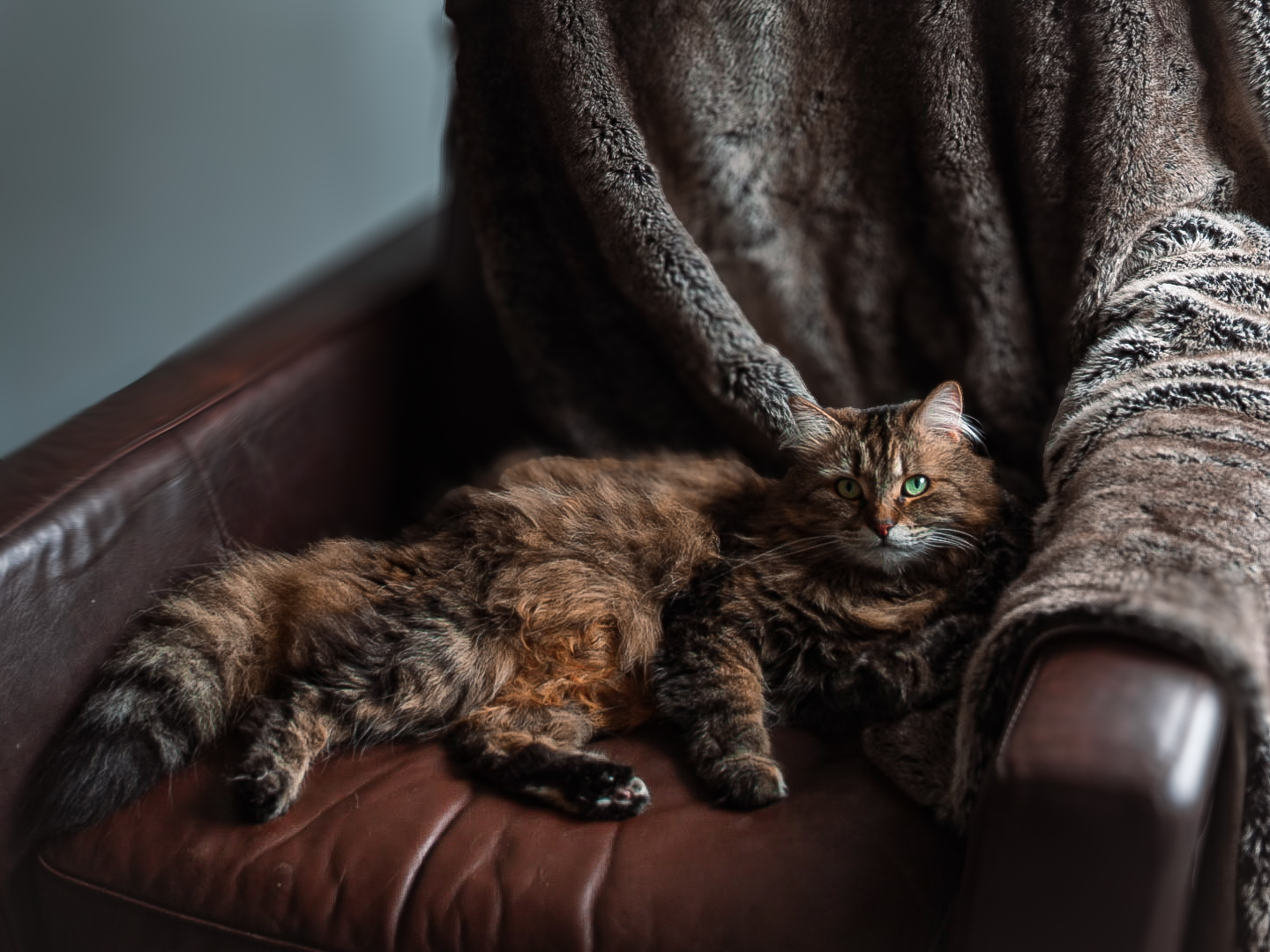 Mila Portraits